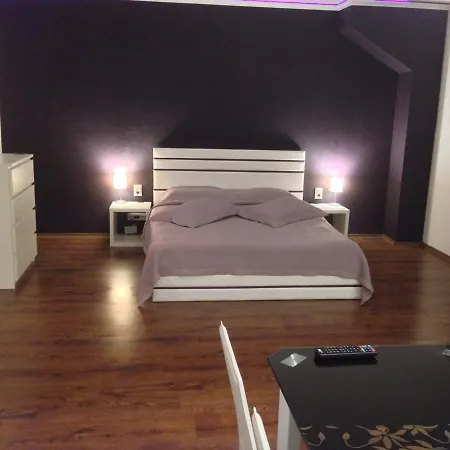 Velinoff Purple Studio