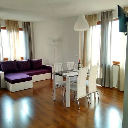 Velinoff Purple Studio Sofia