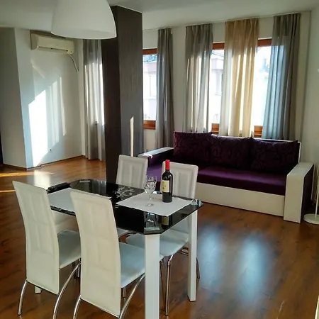Velinoff Purple Studio Sofia