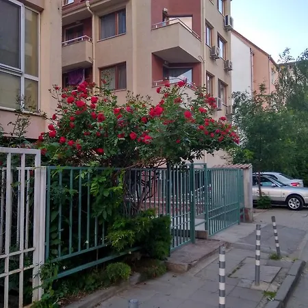 Velinoff Purple Studio Apartment *
